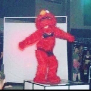 Meet your Posher, Chica